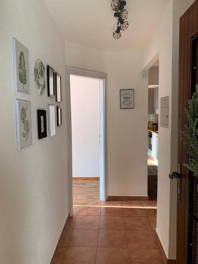 M'S Wood Appartement Maishofen Esterno foto